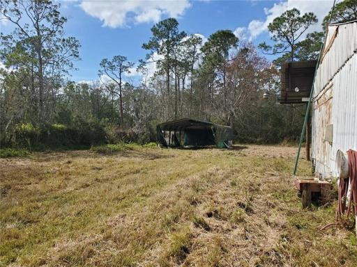3rd Car Port and variety of trees