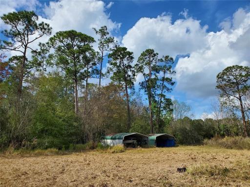 Back of cleared section  lots more acreage behind these car ports
