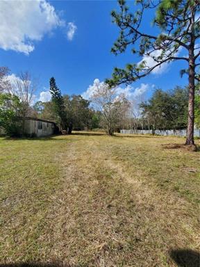 View from entrance onto property