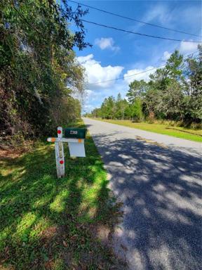 Mail box and road going North