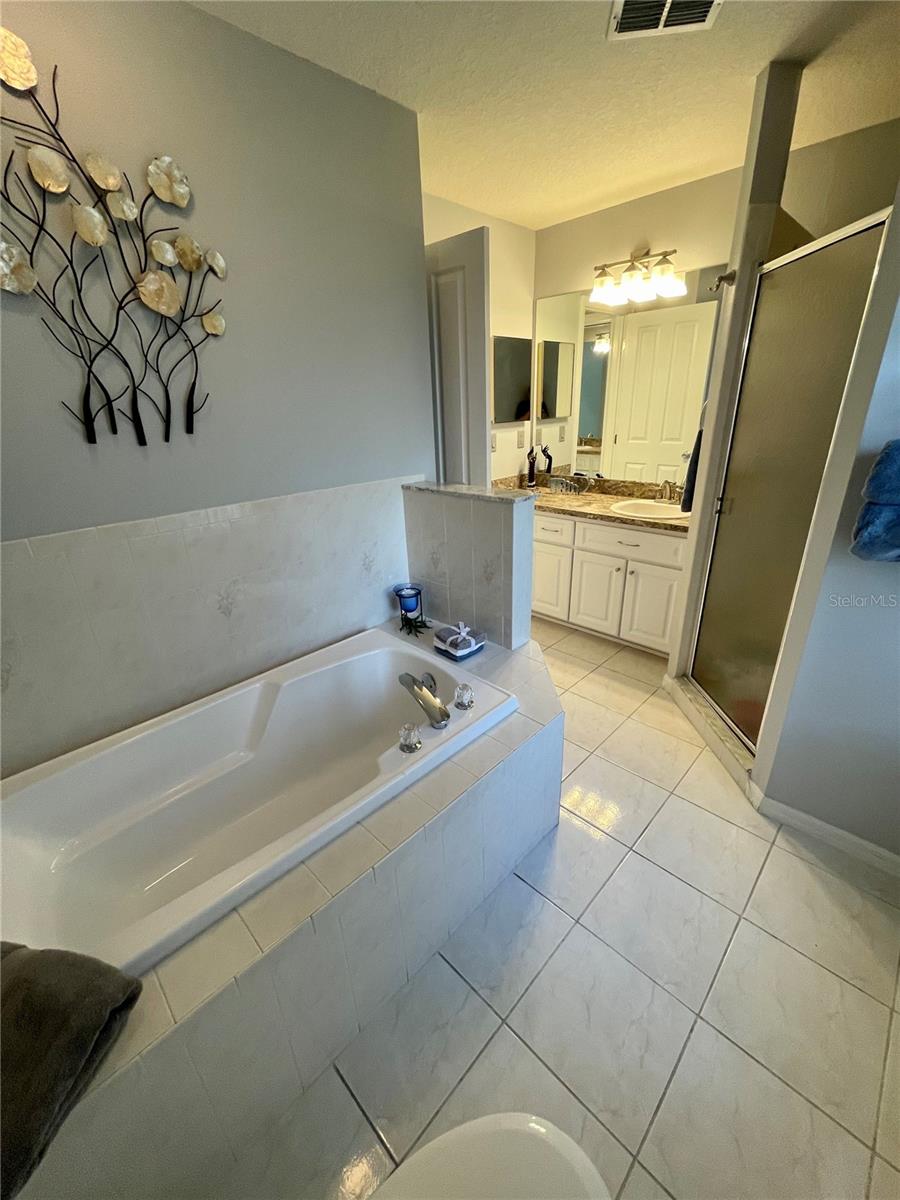 Another view of Master bath area