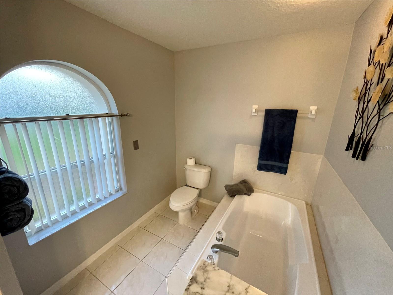 Large soaker tub, very spacious bathroom