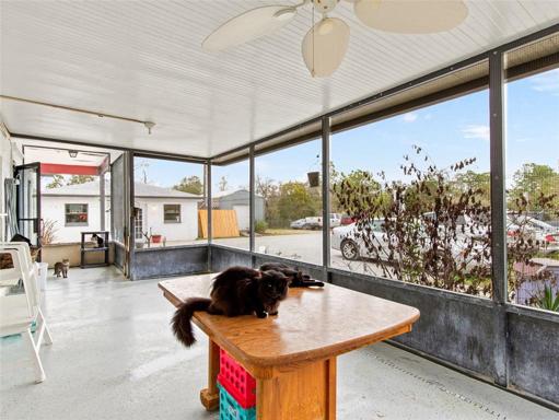outdoor cat play area porch