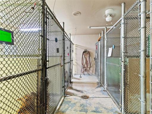 interior dog kennels