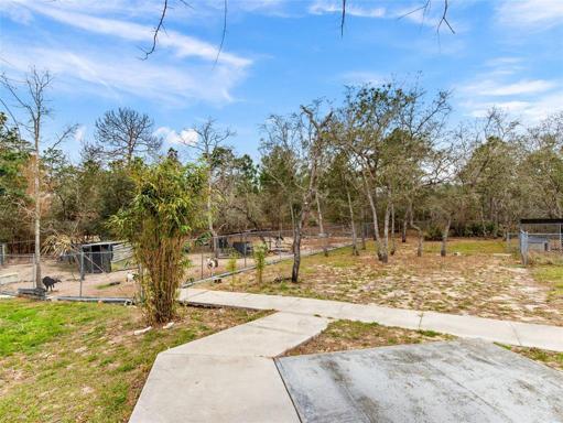 outdoor dog park