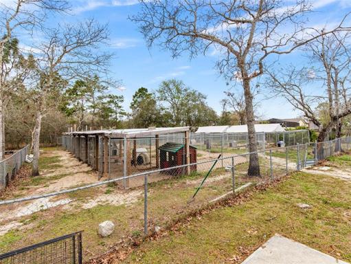 outdoor dog kennels