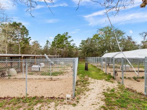 goat & livestock pen