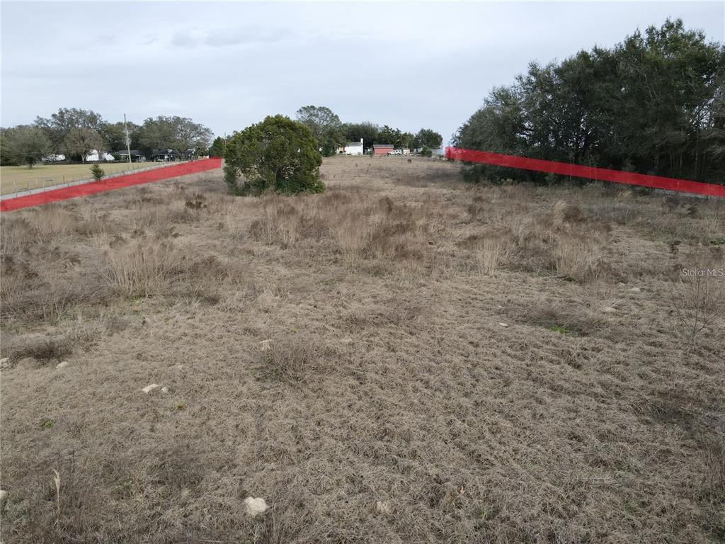 View from Plymouth Sorrento Rd. The lot is mostly clear of mature trees and bushes.