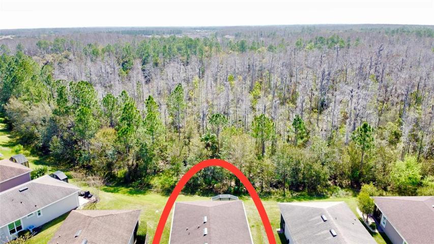Conservation Lot