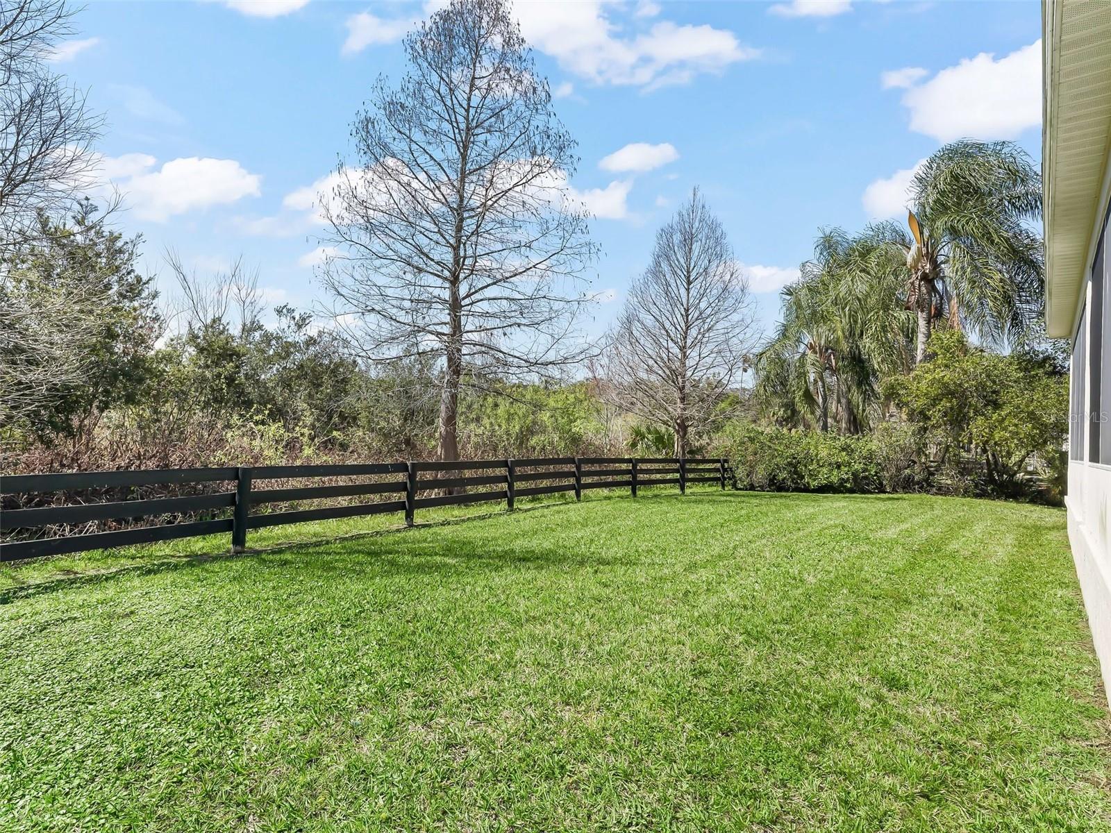 Back yard