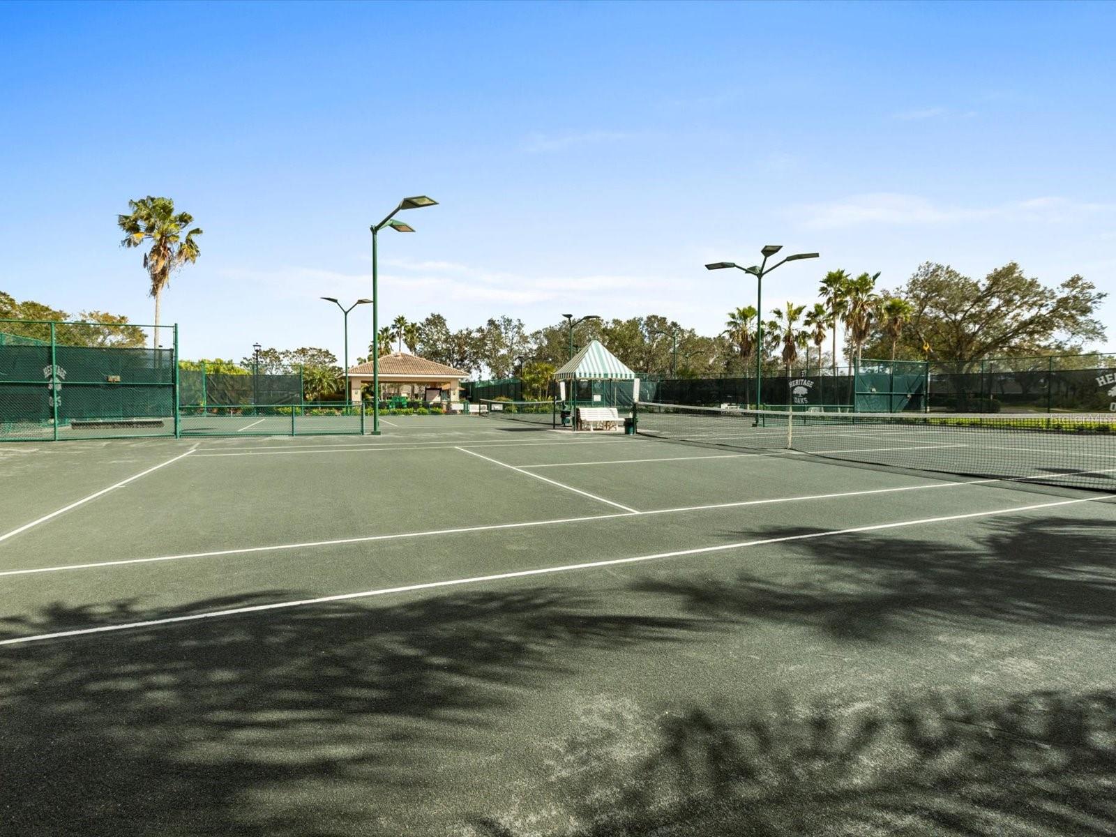 Tennis anyone?