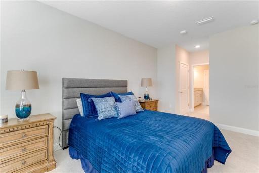 Master Bedroom into ensuite bathroom and double closets