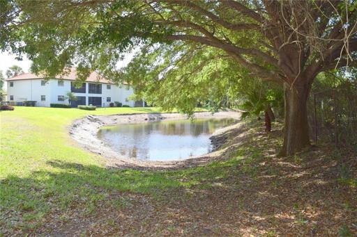 Pond View