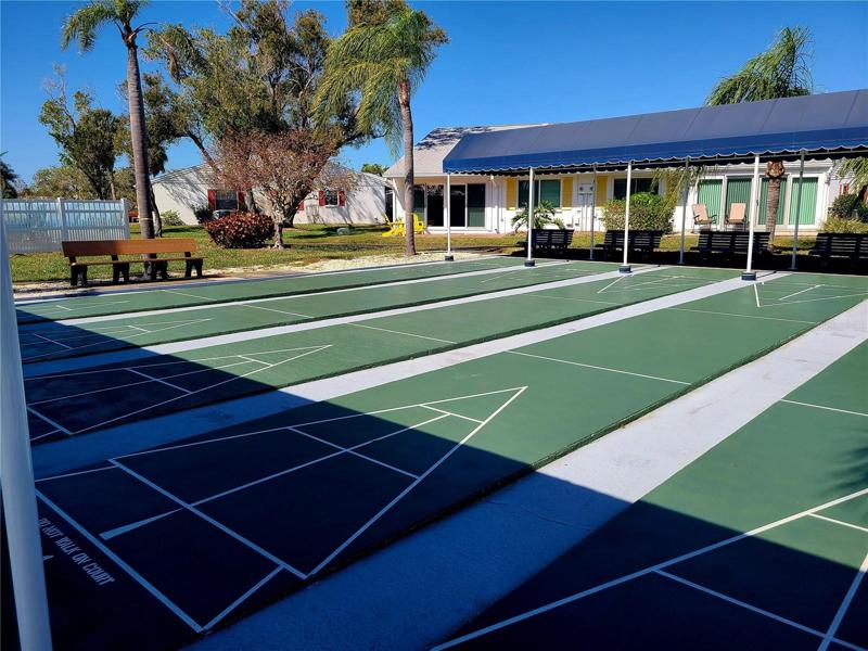 shuffleboard 