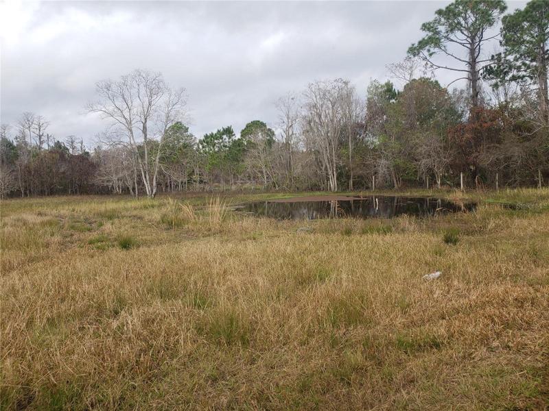 Fenced field with pond