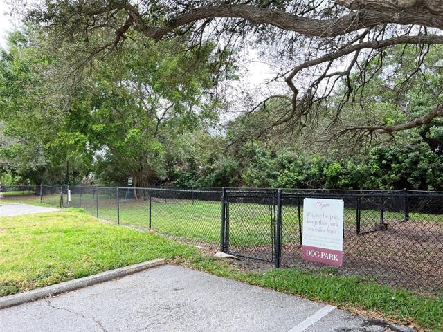 Dog Run