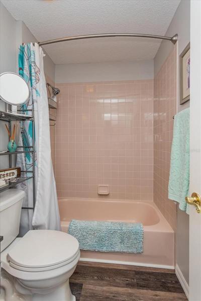 Guest Bath Shower/Tub Combo