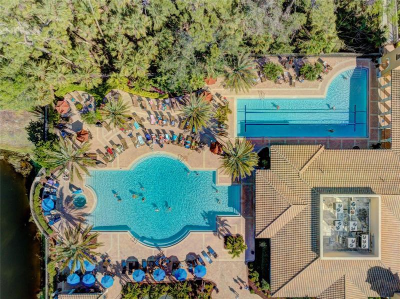 lap pool and lounge pool with bar area