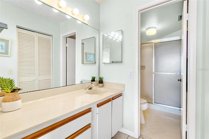 Primary bathroom vanity, sink and separate shower & toilet area.