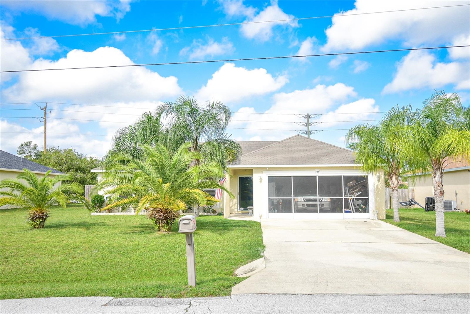 Front Yard with Palms