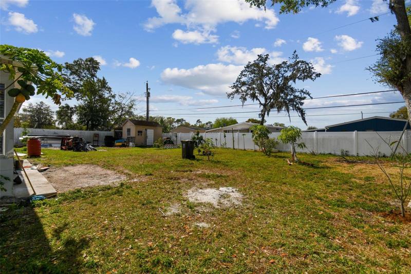 Back yard