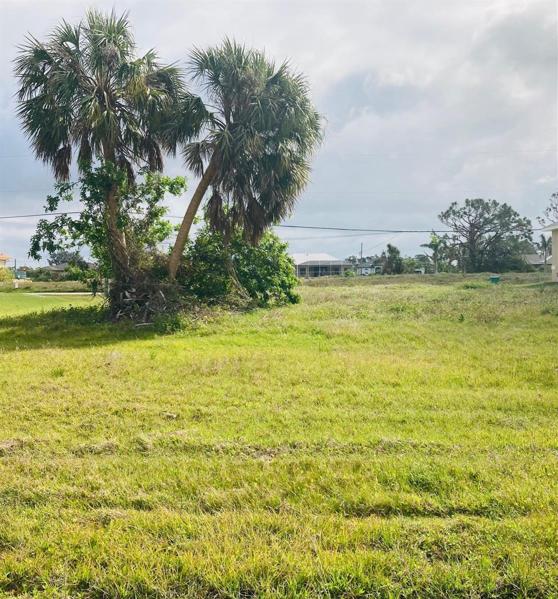 West back of property