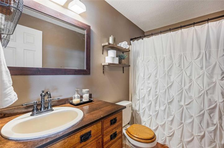 Guest Bath (downstairs)