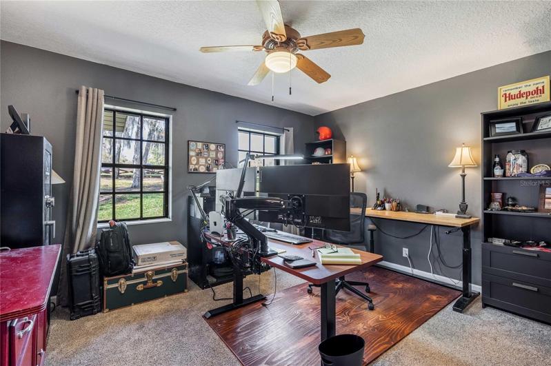 3rd Bedroom (downstairs)