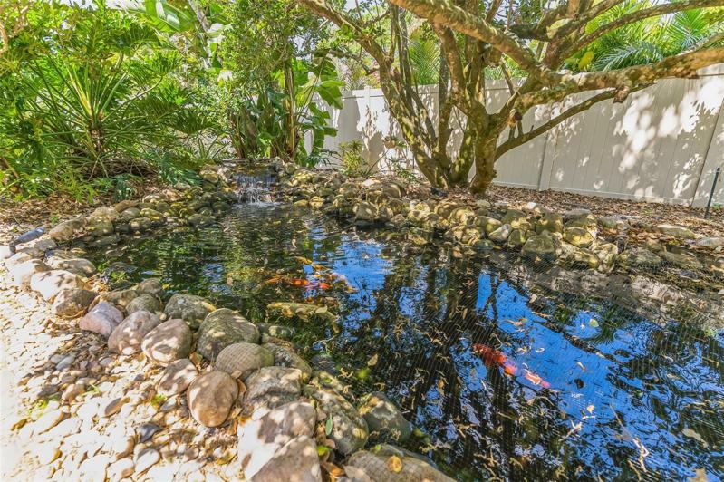 The Koi Pond