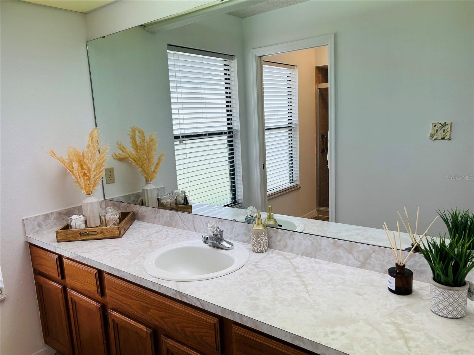 Master Bathroom Vanity