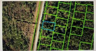 Land for Sale!