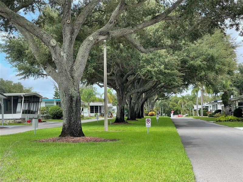 Entrance to the Community. Beautiful mature trees
