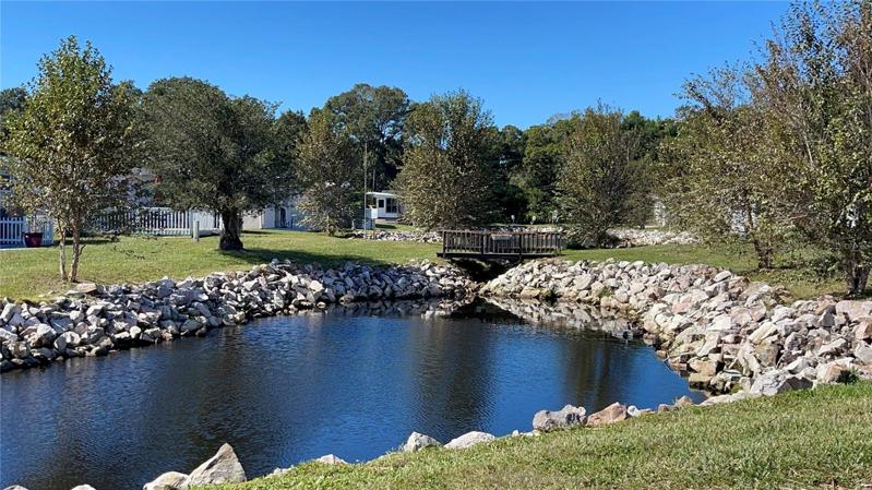 Enjoy the birds on the ponds.