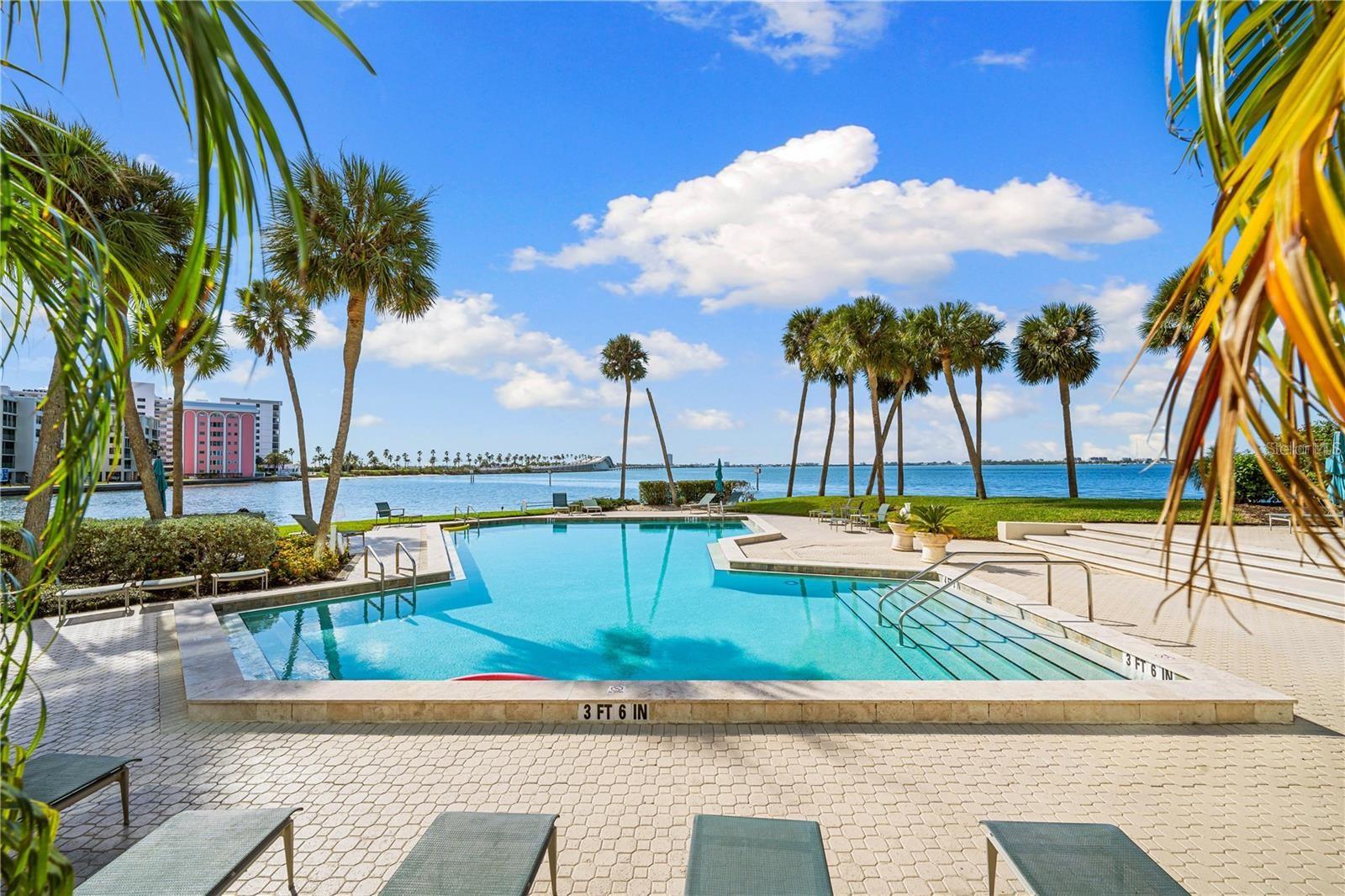Condo on the Bay Pool overlooking Downtown Sarasota