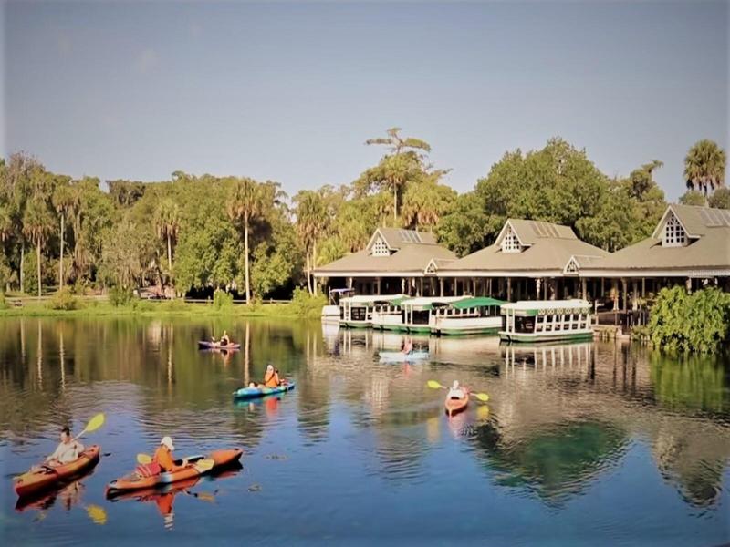 Silver Springs - Kayaking and Glass Bottom Boats