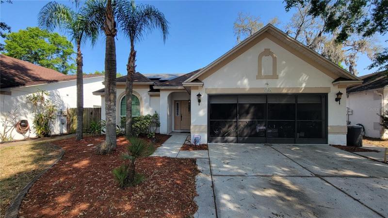 Front Ext