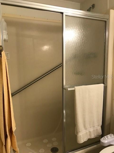 Master Bath Shower