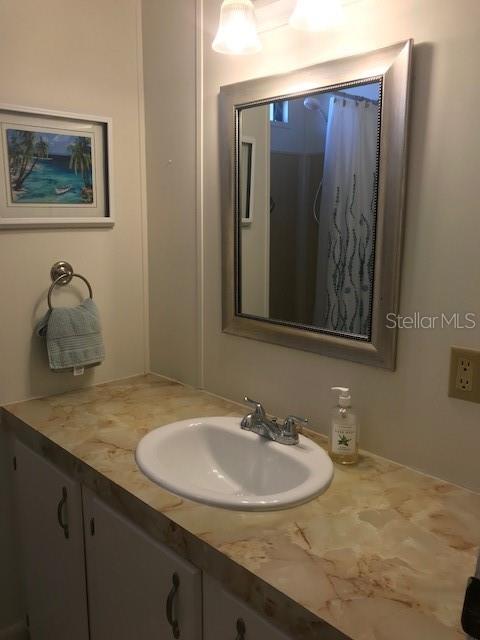 Guest Bath Sink and Vanity Area