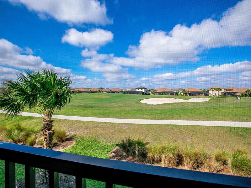 Back patio View
