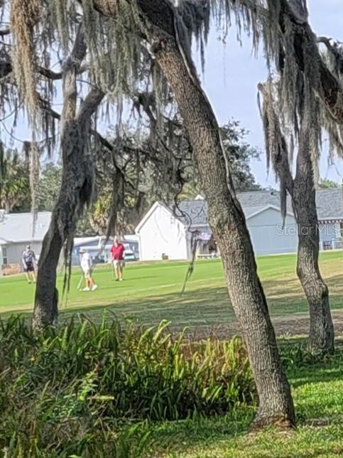 This vew shows golfers putting on 2nd hole green .
