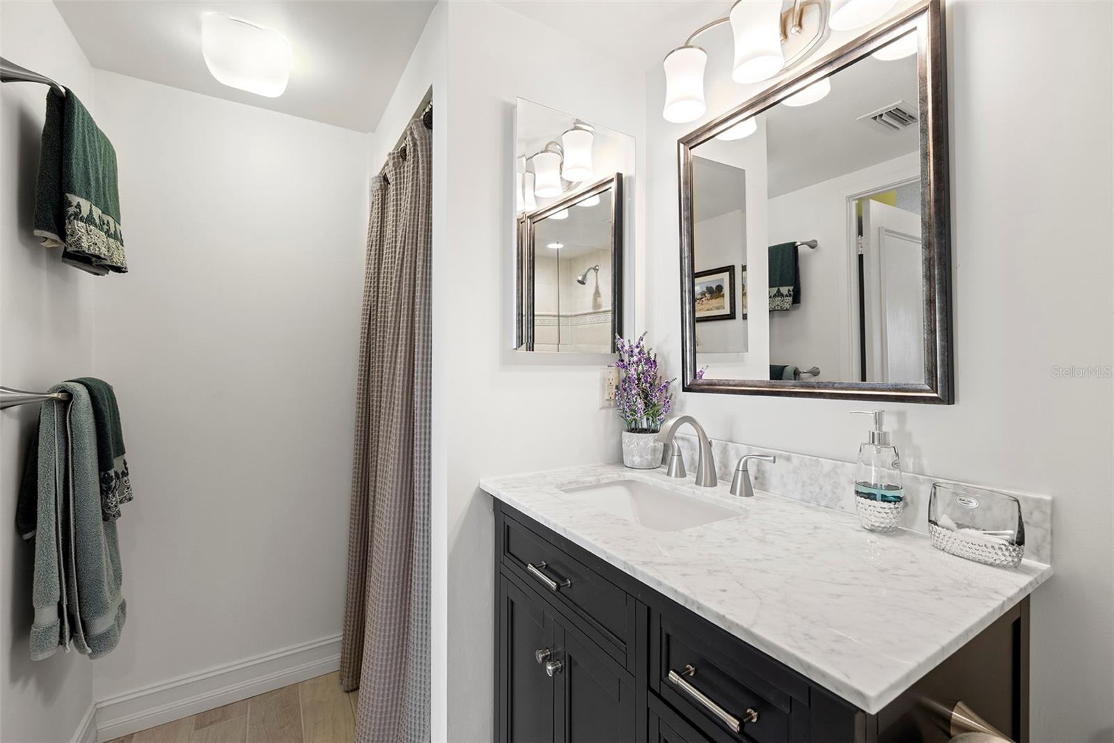 Guest bath with laundry closet