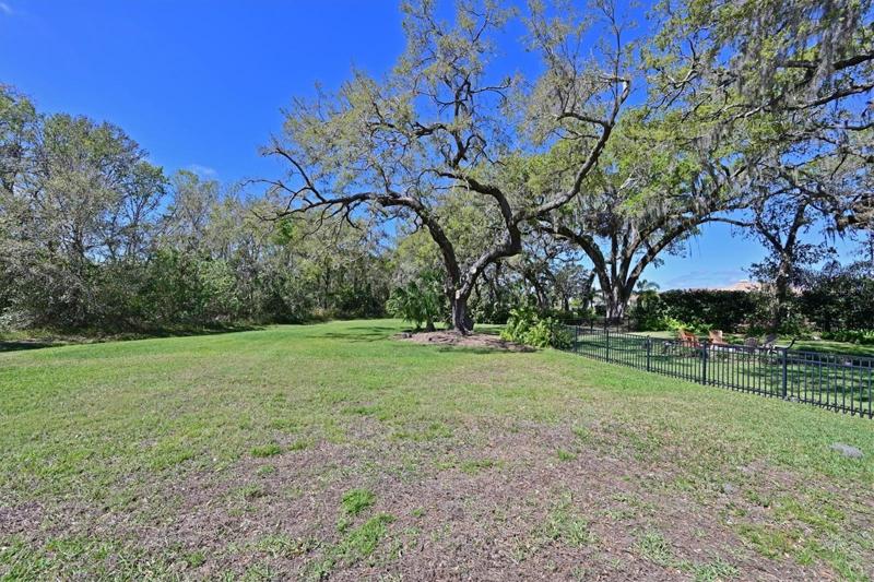 Rear Yard with room to play!