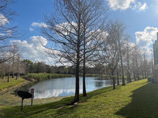 This is the lake view from this amazing property.