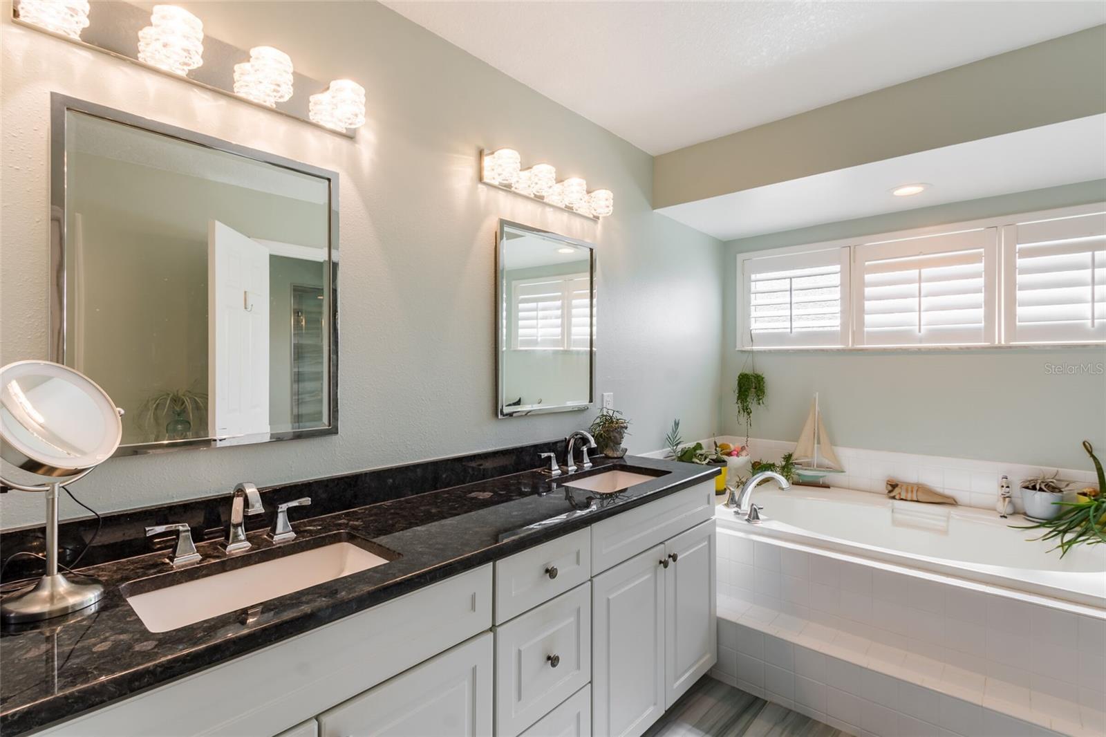 Master Bathroom/Tub