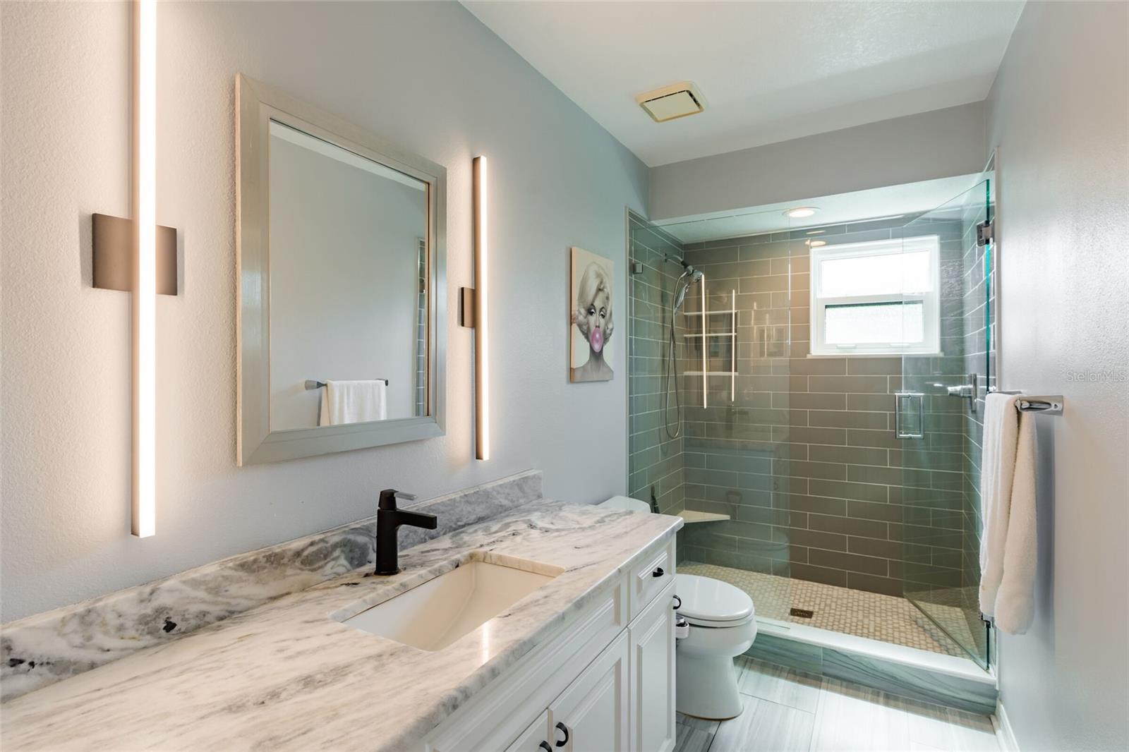 Guest Bathroom/Shower