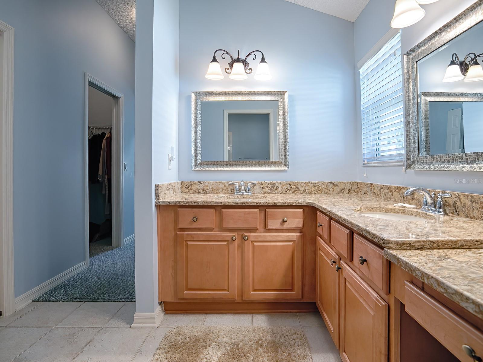 EN SUITE MASTER BATH HAS DUAL SINKS, PLENTY OF COUNTER SPACE, CABINETS AND A VANITY AREA