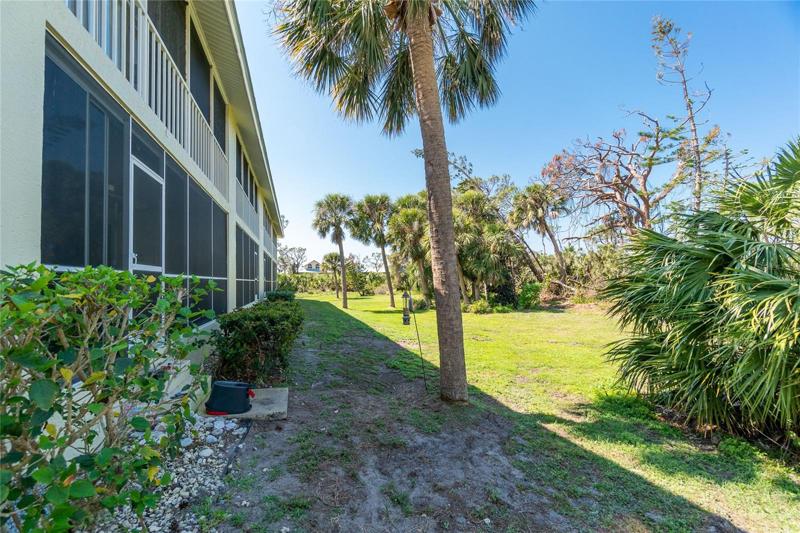 Rear view directly behind your back porch