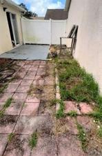 backyard, fenced in