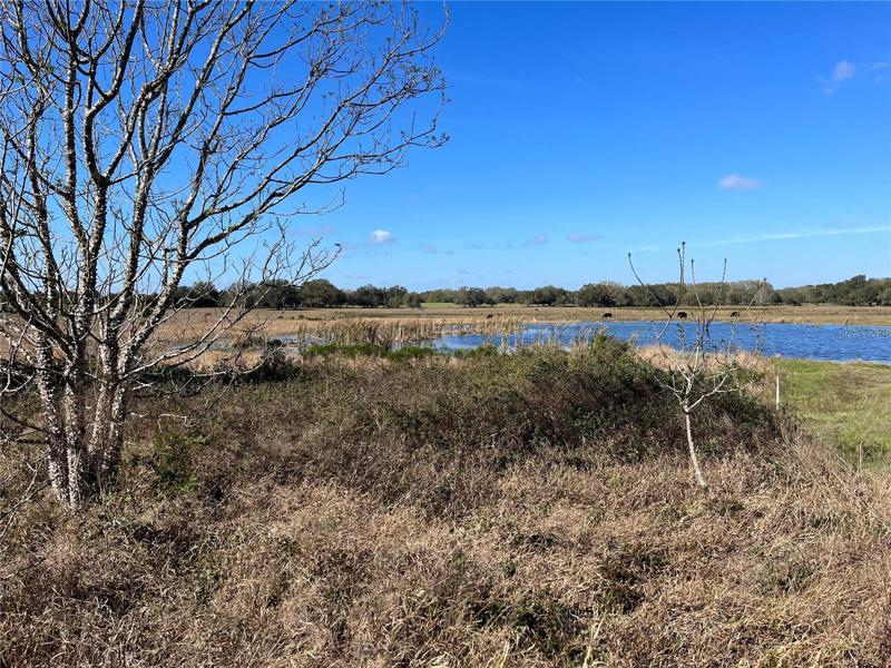 Lot/Pond View - Otters Run Dr.