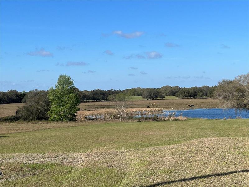Lot View